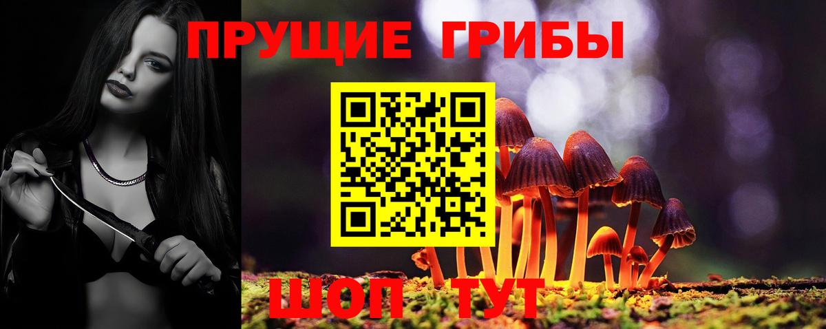 Галлюциногенные грибы GOLDEN TEACHER Тайшет